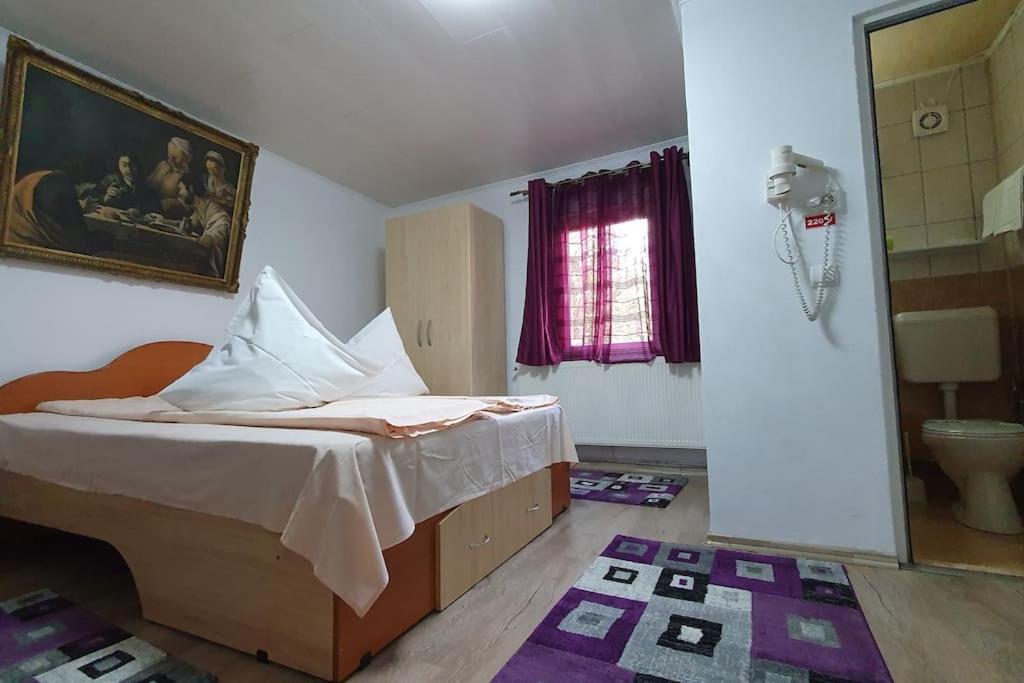 מלון Podu Dimbovitei Casa Petruta Dambovicioara מראה חיצוני תמונה