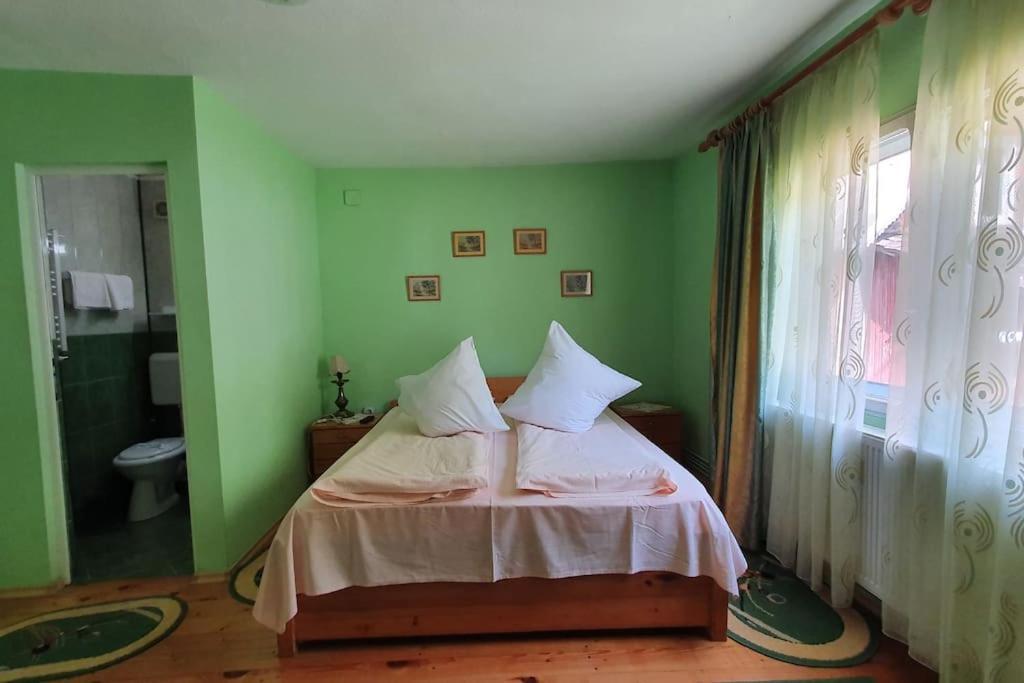 מלון Podu Dimbovitei Casa Petruta Dambovicioara מראה חיצוני תמונה