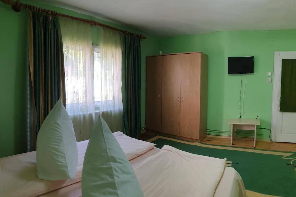 מלון Podu Dimbovitei Casa Petruta Dambovicioara מראה חיצוני תמונה