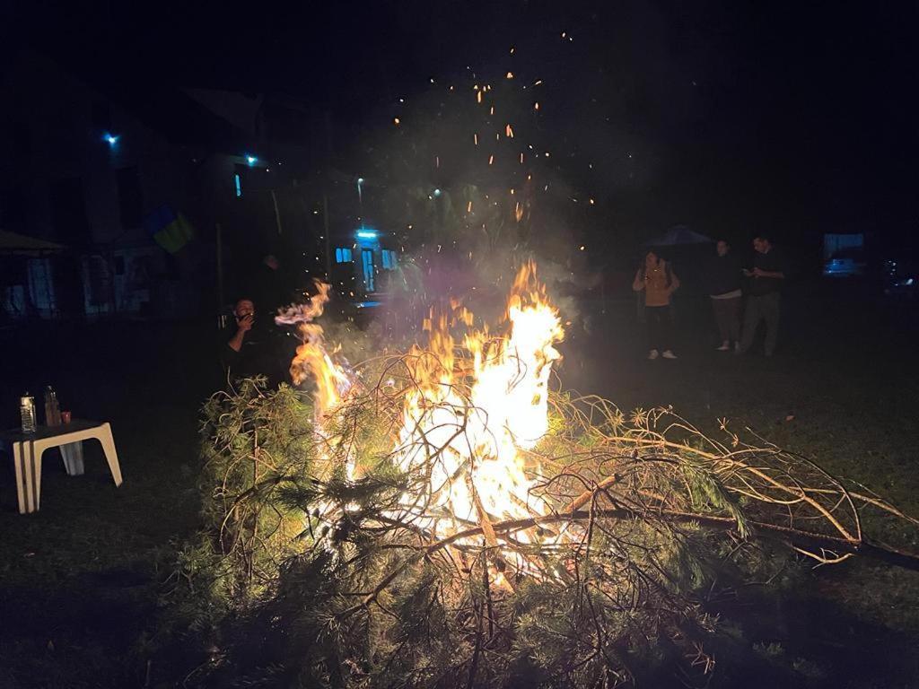 מלון Podu Dimbovitei Casa Petruta Dambovicioara מראה חיצוני תמונה
