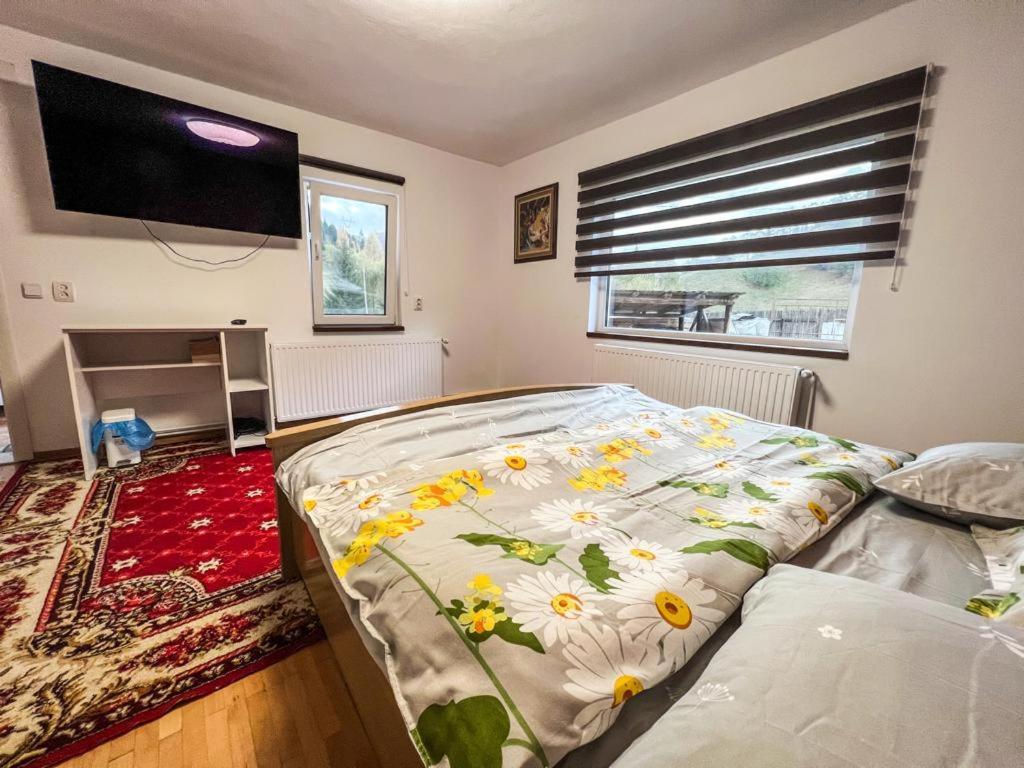 מלון Podu Dimbovitei Casa Petruta Dambovicioara מראה חיצוני תמונה